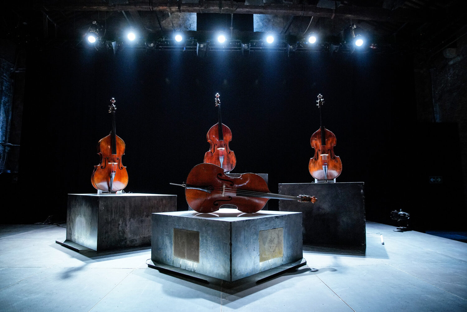 © courtesy Biennale di Venezia A. Avezzù